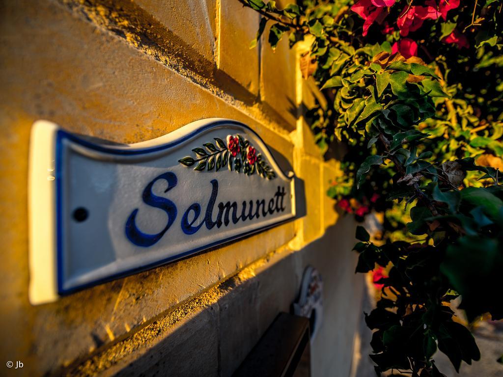 Villa Selmunett ناسار المظهر الخارجي الصورة